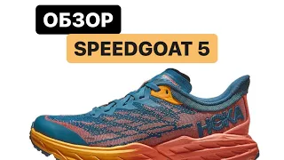 Первый взгляд на Hoka Speedgoat 5