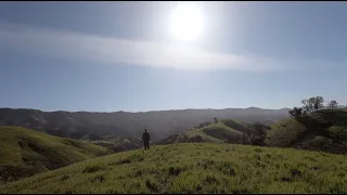 Knoxville Wildlife Hunt Pigs and Turkey Early Spring in California