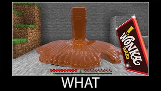 Minecraft wait what meme part 308 realistic minecraft Chocolate