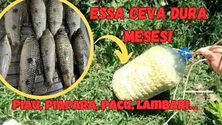 Segredo revelado na pescaria aprenda como fazer ceva para peixe com galão no rio [ passo a passo ]