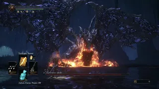 No damage+ Sunlight Spear only vs Darkeater Midir