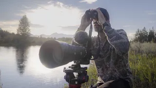 I'm In the Tetons - Wildlife Photography - Sony a7RV + Sony 200-600