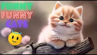 World's Funniest Cat Videos 😹 Funny Cat Videos Try Not To Laugh 😂Funny Cat Video Compilation😺Part 44