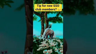 SSO Tips for new club members?