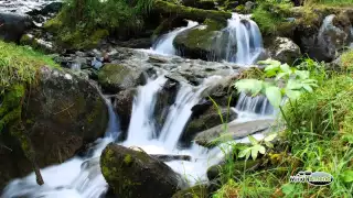 Babbling Brook Water Stream Soundscape Full 60 Minute Track