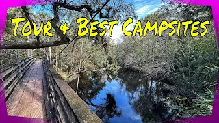 Hillsborough River State Park Tour | 2022