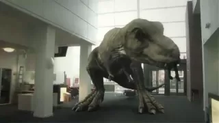 T. Rex In The Atrium (2010)