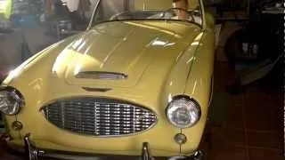 austin healey 100/6 Črni kal