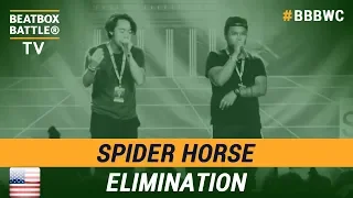 Spider Horse from USA - Tag Team - 5th Beatbox Battle World Championship