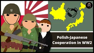 Why did Poland and Japan Work Together In World War 2?