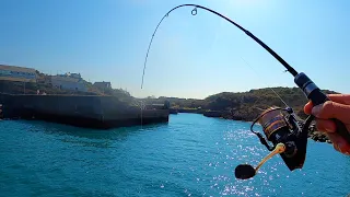 Port Wall Sea Fishing - SCARIEST SPECIES I've ever caught?? (Anglesey)