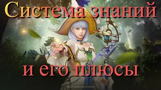 Black Desert/ BD: Система знаний и его плюсы (клавиша H)