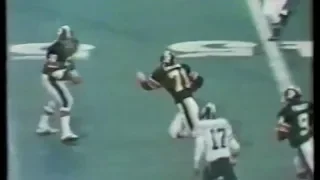 The Run (1976) - Grey Cup - Ottawa vs Saskatchewan