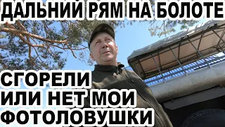 Едем в дальний рям на болоте. Сгорели или нет мои фотоловушки? Учет медведя.