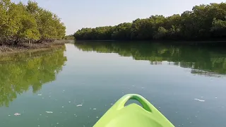 Abu Dhabi Eastern Mangrove Kayak Ride