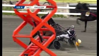 Harness Racing Accident