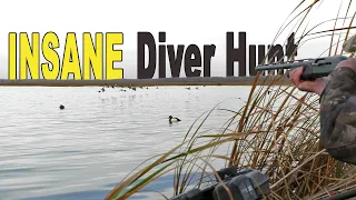 Insane Diver Duck Hunting Action