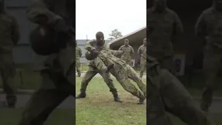 czech military demonstration#shorts #army #military #selfdefense