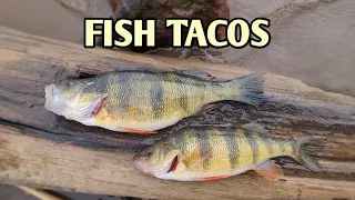 Fish Tacos!!! Mississippi River Perch Fishing!! Catch N Cook!!