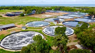 The First, the Biggest, Super Intensive Shrimp Farm: 320 Million Kita per Year!