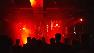 Mallephyr - W.Y.I.D. live