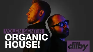 Make ORGANIC HOUSE Like VOLEN SENTIR