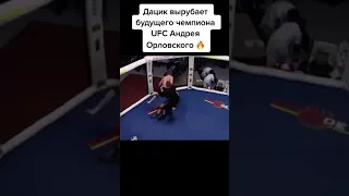 Дацик вырубил чемп UFC #Shorts