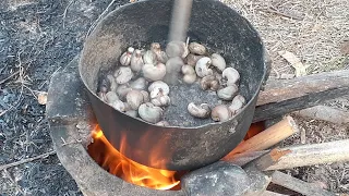 Roasted Cashew Nuts/លីងគ្រាប់ចន្ទី