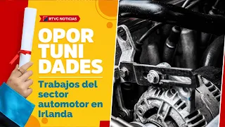 Trabajos del SECTOR AUTOMOTOR en IRLANDA | RTVC Noticias