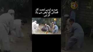 Qurbani Funny Qasai videos