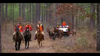 Luxury Bobwhite Quail Shooting at Pine Hill Plantation – South Georgia - USA