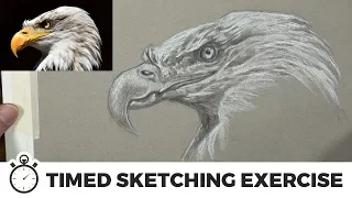 How to Draw an EAGLE - Timed Sketching Exercise