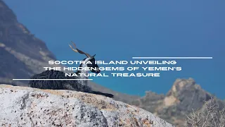 Socotra Island Unveiling the Hidden Gems of Yemen's Natural Treasure