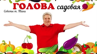 Голова садовая - Как вырастить здоровые перцы и баклажаны