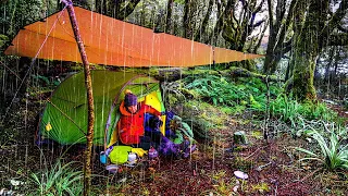 Snow and RAIN Tent Camping  - Solo (with my Dog)