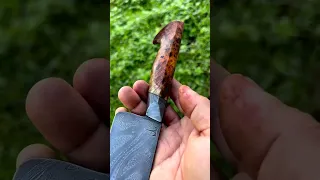This knife is just the right size for performance