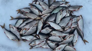 Зимняя рыбалка на Ладоге | Ловля плотвы в палатке | Февраль 2022