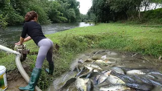 Videos Unique Fishing - The Girl Use a Pump To Suck Water Out Of The Lake - Harvesting Many Big Fish