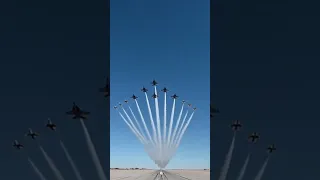 Thunderbirds and Blue Angels Fly 