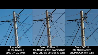 SONY A7Siii vs CANON EOS-M (Magic Lantern Crop Mood) and 5DIII