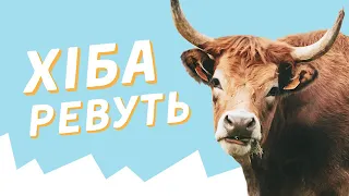 “Хіба ревуть воли, як ясла повні?”: сюжет і теорія для ЗНО з української літератури 2021