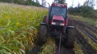 Chopping Corn in The Mud (Part 1)