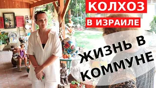 ЛУЧШЕ, ЧЕМ В ГОРОДЕ! ИЗРАИЛЬСКИЙ КОЛХОЗ // Как живут в кибуце Израиля?