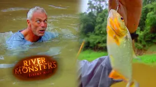 Jeremy Wade Jumps Into Piranha Infested Waters! | PIRANHA | River Monsters