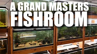 Grand Master Aquarist Sarah Sajdak's Incredible Tropical Fish Breeding Basement