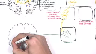 Parkinson's Disease (Shaking Palsy) - Clinical Presentation and Pathophysiology