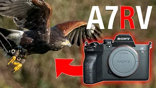 Sony A7RV - I WAS WRONG !!! 😳 + RECOMMENDED SETTINGS for BIRD PHOTOGRAPHY 🦅