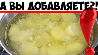 Зачем опытные хозяйки добавляют во время варки картофеля..? Маленькая хитрость,о ней мало кто знает!