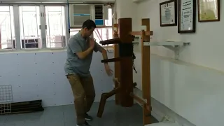 Sifu Edmund Fong demonstrate Dummy Form 1-4