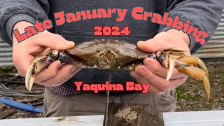 Crabbing Newport Oregon In High Winds. January 2024 #crabbing #dungeness #bay